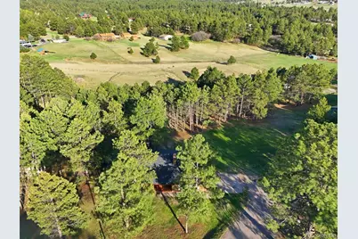 11486 Ponderosa Lane, Franktown, CO 80116 - Photo 49