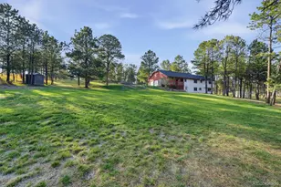 11486 Ponderosa Ln, Franktown, CO 80116 - Photo 43