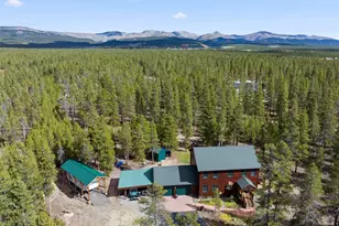64 Baby Doe Dr, Leadville, CO 80461 - Photo 1