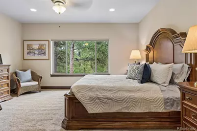 1240 Hoosier Drive, Larkspur, CO 80118 - Photo 23