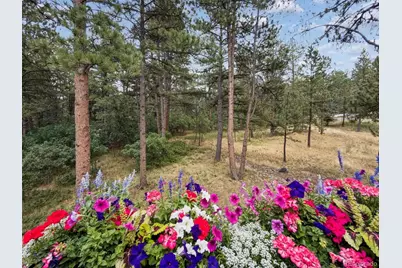 1240 Hoosier Drive, Larkspur, CO 80118 - Photo 5