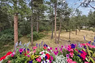 1240 Hoosier Dr, Larkspur, CO 80118 - Photo 5