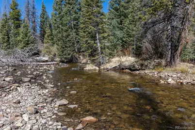 24500 County Road 162, Nathrop, CO 81236 - Photo 13