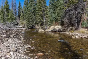 24500 Co Rd 162, Nathrop, CO 81236 - Photo 13