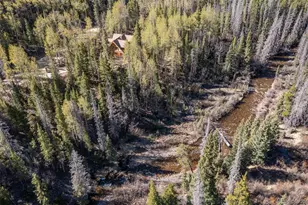 24500 Co Rd 162, Nathrop, CO 81236 - Photo 7