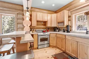 24500 Co Rd 162, Nathrop, CO 81236 - Photo 31
