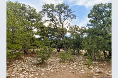 3872 Jubilant Terrace, Crestone, CO 81131 - Photo 11