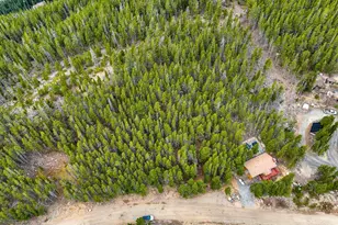 123 Silver Creek Rd, Idaho Springs, CO 80452 - Photo 1