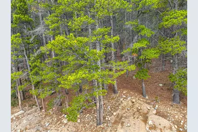 123 Silver Creek Road, Idaho Springs, CO 80452 - Photo 29