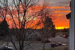 6839 S Webster St, Littleton, CO 80128 - Photo 37