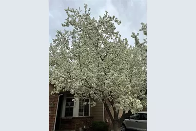 6839 S Webster Street #C, Littleton, CO 80128 - Photo 33