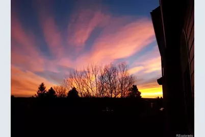 6839 S Webster Street #C, Littleton, CO 80128 - Photo 39