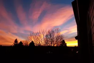 6839 S Webster St, Littleton, CO 80128 - Photo 39