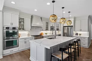 255 Maplehurst Point, Highlands Ranch, CO 80126 - Photo 5