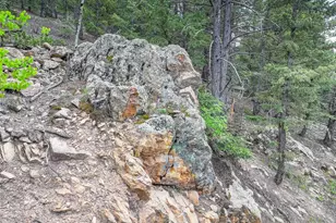 1700 Dory Hill Rd, Black Hawk, CO 80422 - Photo 13