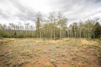 25 Huron Road, Red Feather Lakes, CO 80545 - Photo 3