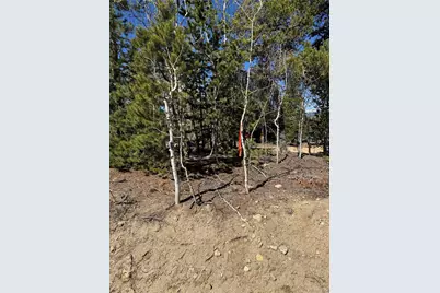 0 Randall Ridge Road, Black Hawk, CO 80422 - Photo 11