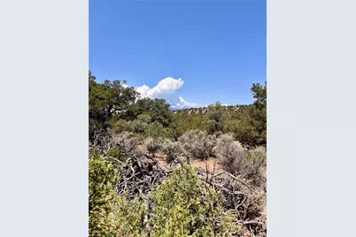 1134 Jorgulesco Road, Fort Garland, CO 81133 - Photo 3