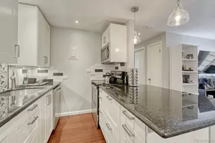 625 N Pennsylvania Street, Denver, CO 80203 - Photo 11