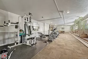 625 N Pennsylvania Street, Denver, CO 80203 - Photo 37