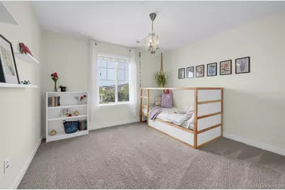 863 Carbonate Lane, Erie, CO 80516 - Photo 29