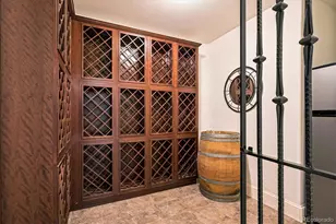 9772 Mirabella Point, Lone Tree, CO 80124 - Photo 39