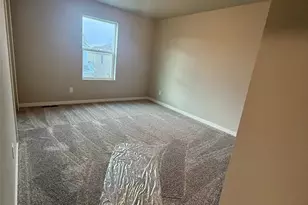 815 N Carrie St, Watkins, CO 80137 - Photo 21