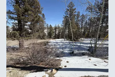 806 Middle Fork Vista, Fairplay, CO 80440 - Photo 5
