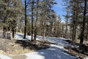 806 Middle Fork Vista, Fairplay, CO 80440 - Photo 1