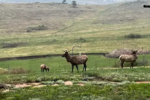 32110 Robinson Hill Rd, Golden, CO 80403 - Photo 43