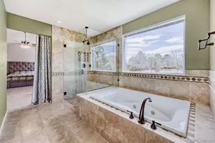 388 Hampstead Ave, Castle Rock, CO 80104 - Photo 15