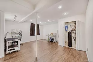 388 Hampstead Ave, Castle Rock, CO 80104 - Photo 19