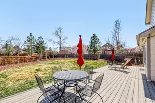 388 Hampstead Ave, Castle Rock, CO 80104 - Photo 21