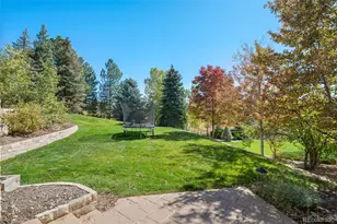 298 Fairchild Dr, Highlands Ranch, CO 80126 - Photo 37