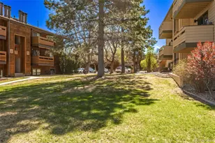 420 Zang St, Lakewood, CO 80228 - Photo 21