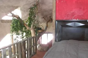 1640 Willow Creek Way, Crestone, CO 81131 - Photo 13