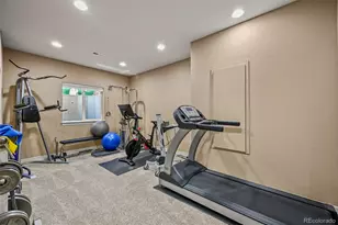 10123 Mockingbird Ln, Highlands Ranch, CO 80129 - Photo 17