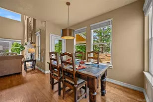 10123 Mockingbird Ln, Highlands Ranch, CO 80129 - Photo 19