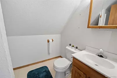 307 Elm Street, Leadville, CO 80461 - Photo 23