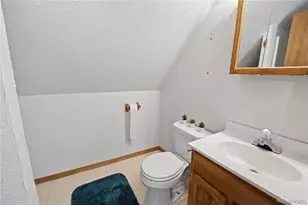 307 Elm St, Leadville, CO 80461 - Photo 23