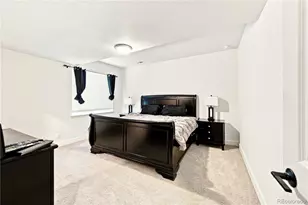 20871 Beekman Pl, Denver, CO 80249 - Photo 33