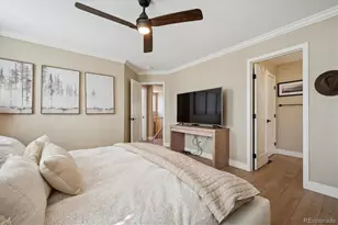 1099 Thornbury Pl, Highlands Ranch, CO 80129 - Photo 19