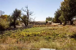 162 Farm Museum Ln, Loveland, CO 80537 - Photo 23