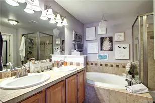 563 Lost Valley Point, Castle Rock, CO 80108 - Photo 23