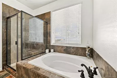 784 Ellsworth Court, Castle Rock, CO 80104 - Photo 13