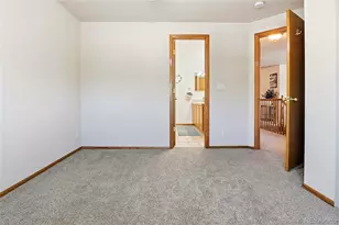 990 Quarterhorse Trail, Castle Rock, CO 80104 - Photo 17