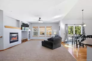 23077 Briar Leaf Ave, Parker, CO 80138 - Photo 11