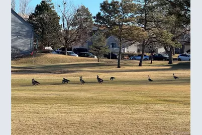 2448 S Victor Street #D, Aurora, CO 80014 - Photo 49