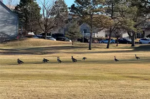 2448 S Victor St, Aurora, CO 80014 - Photo 49