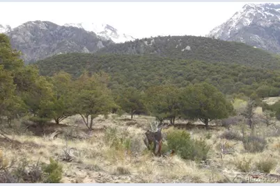 915 Big Timber Overlook, Crestone, CO 81131 - Photo 9